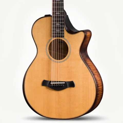 12弦アコースティックギター | Taylor Guitars